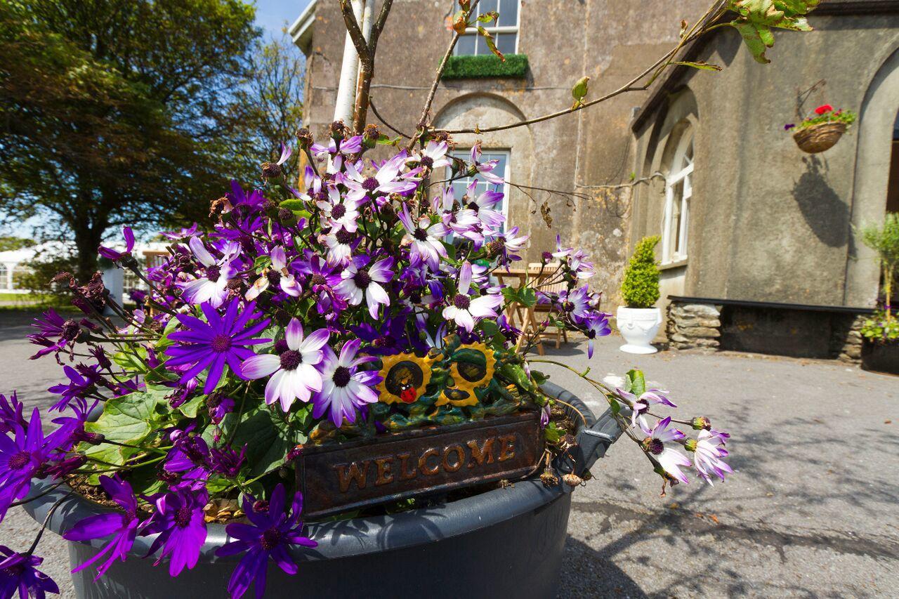 Ballintaggart House Dingle Exterior foto